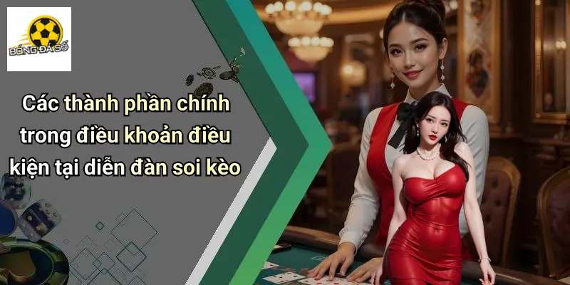 Các thành phần chính trong điều khoản điều kiện tại diễn đàn soi kèo
