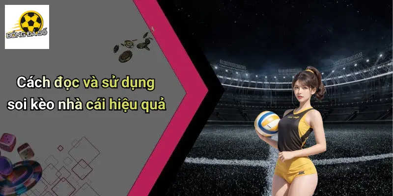 Bóng Đá Số