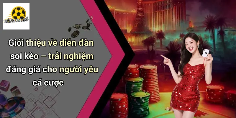 Giới thiệu về diễn đàn soi kèo – trải nghiệm đáng giá cho người yêu cá cược