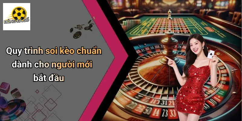Quy trình soi kèo chuẩn dành cho người mới bắt đầu
