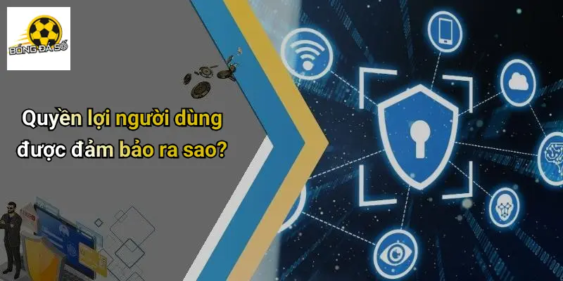 Quyền lợi người dùng được đảm bảo ra sao?
