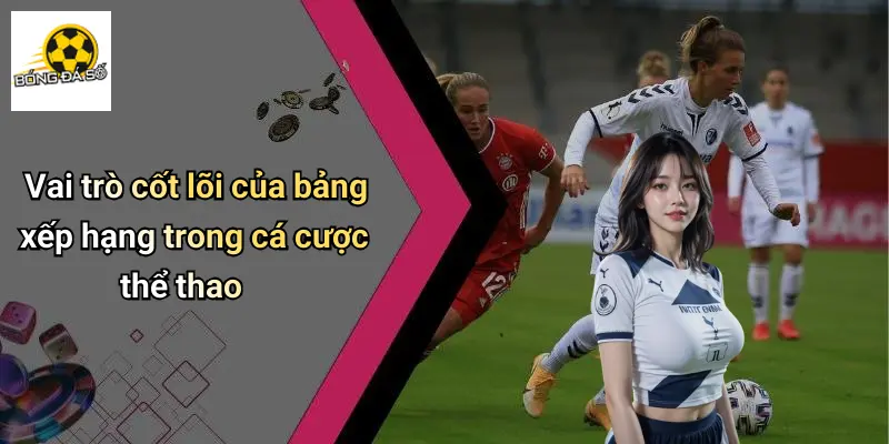 Vai trò cốt lõi của bảng xếp hạng trong cá cược thể thao