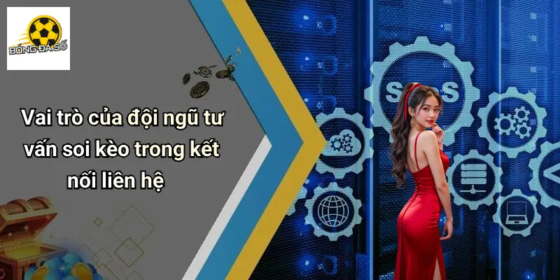 Vai trò của đội ngũ tư vấn soi kèo trong kết nối liên hệ
