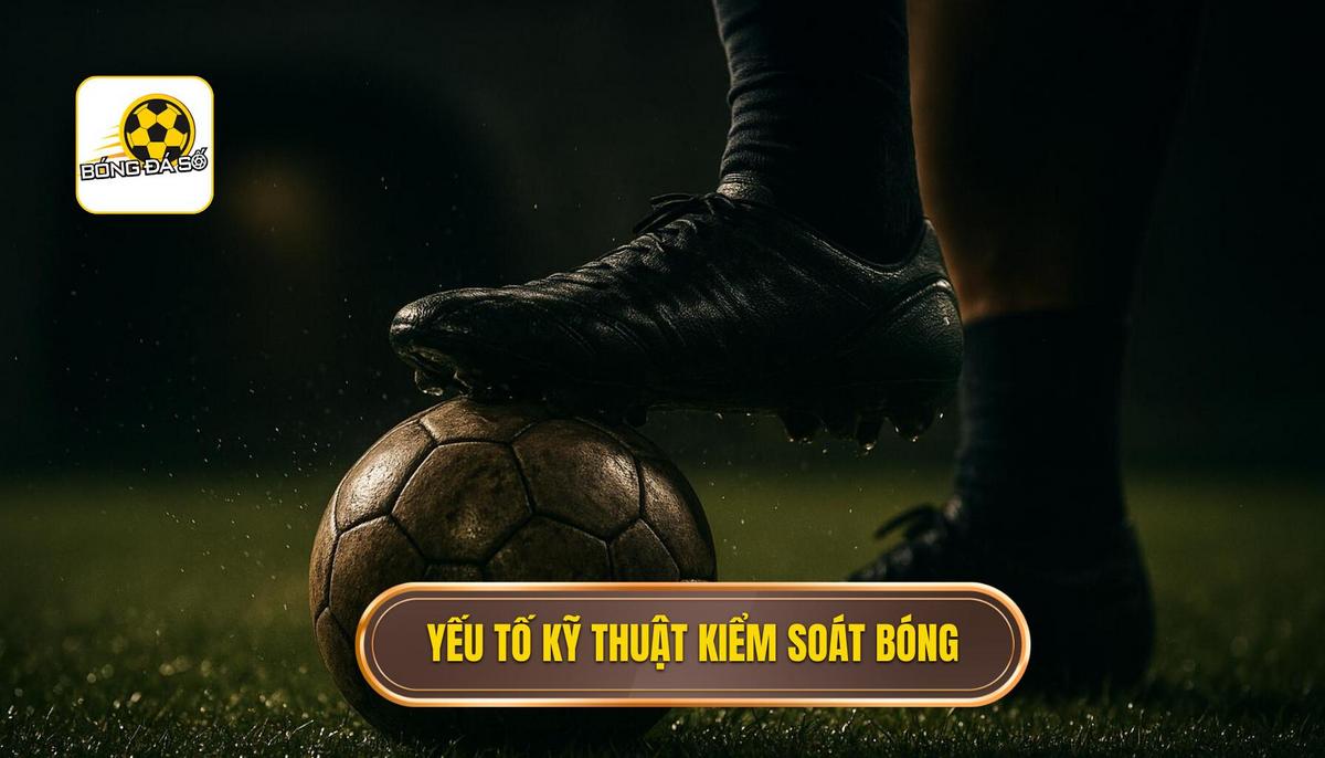 Các yếu tố nền tảng cấu thành kỹ thuật kiểm soát bóng trong không gian hẹp