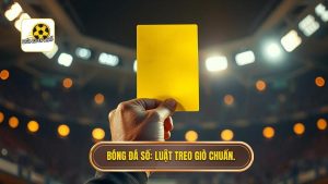 Bị bao nhiêu thẻ vàng thì bị cấm thi đấu? Giải đáp chi tiết luật bóng đá quốc tế