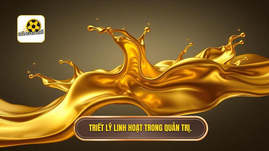 1. Triết lý linh hoạt trong quản trị.