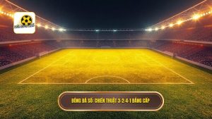 Chiến thuật bóng đá 3-2-4-1