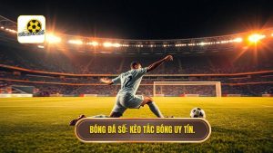 èo cược tổng số lần tắc bóng thành công