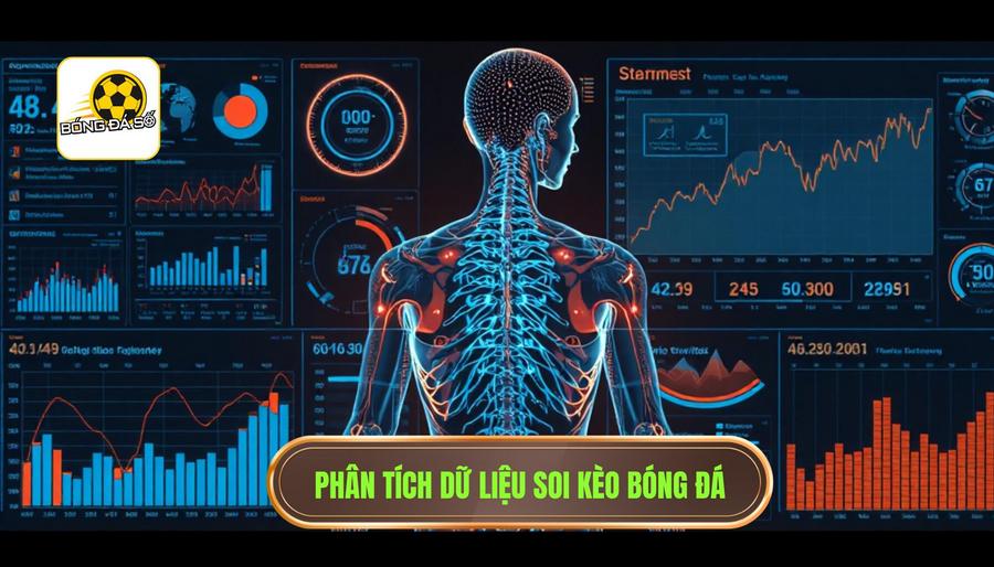 Phân tích dữ liệu: Xương sống của chiến thuật thắng kèo hiệu quả