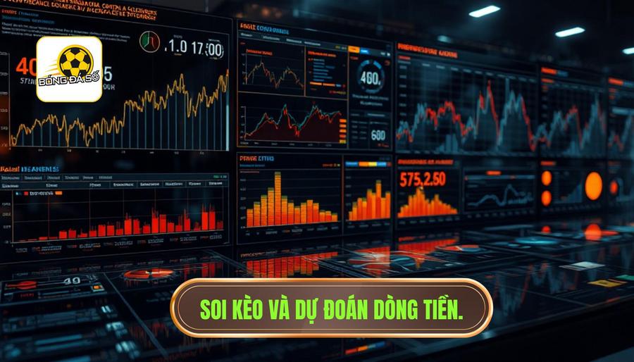 Nhận định trận hot: Đọc vị nhà cái và dòng tiền
