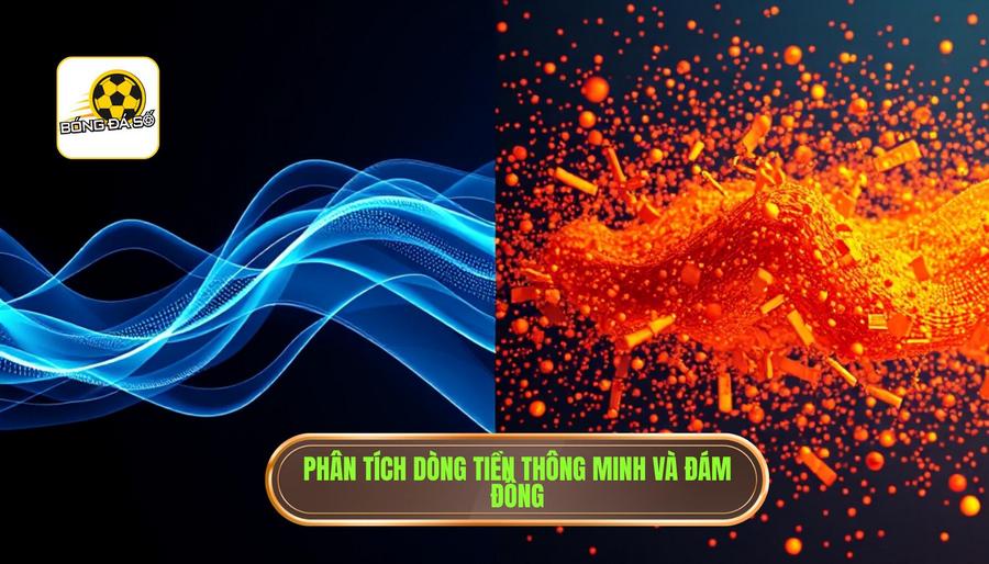 Cách nhận biết dòng tiền đổ vào cửa nào: Bí quyết soi kèo như chuyên gia 3 3. Phân tích dòng tiền thông minh và đám đông